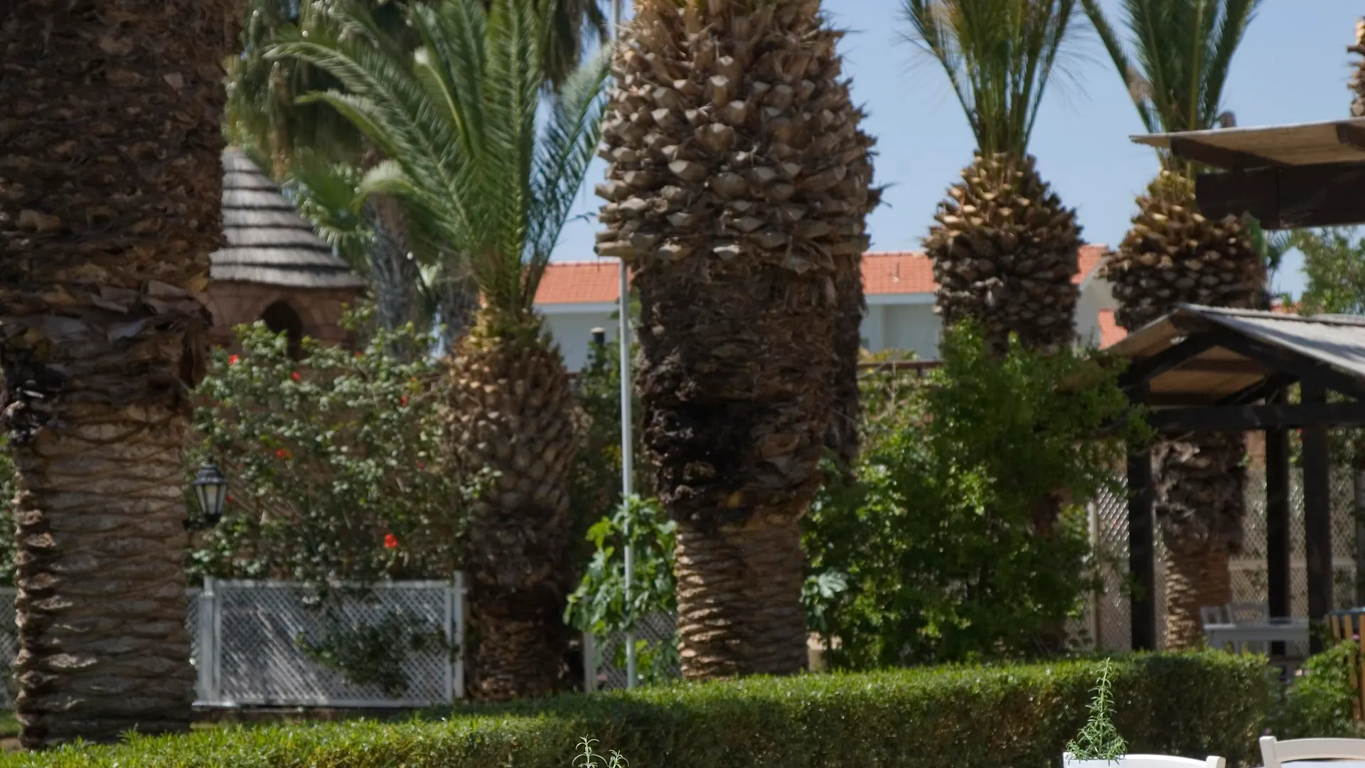 Sandy Beach Hotel & Spa - Ex Sentido 라르나카